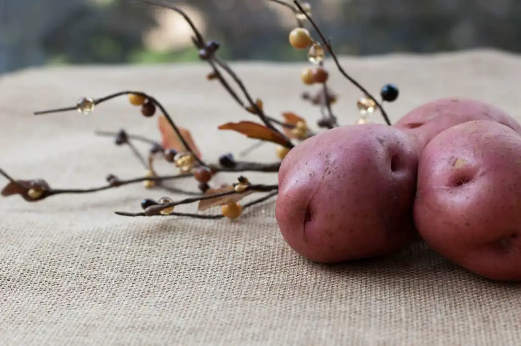 red potatoes