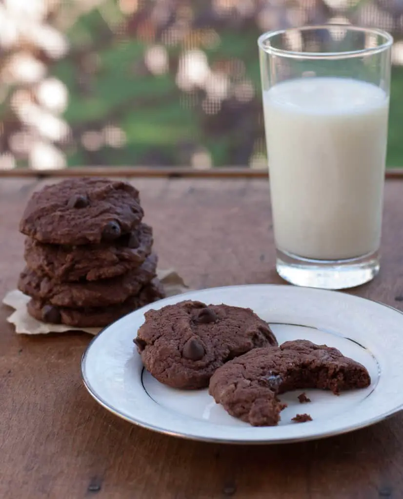 Dark Chocolate Cookies with Dark Chocolate Chips