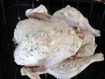 Christmas Vacation turkey prior to roasting