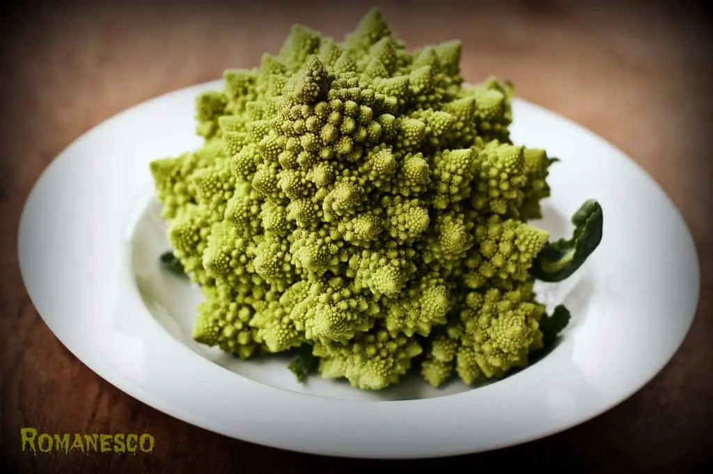 Side shot of a head of romanesco showing the beautiful fractal shadows on a white plate that is sitting on a brown wood background