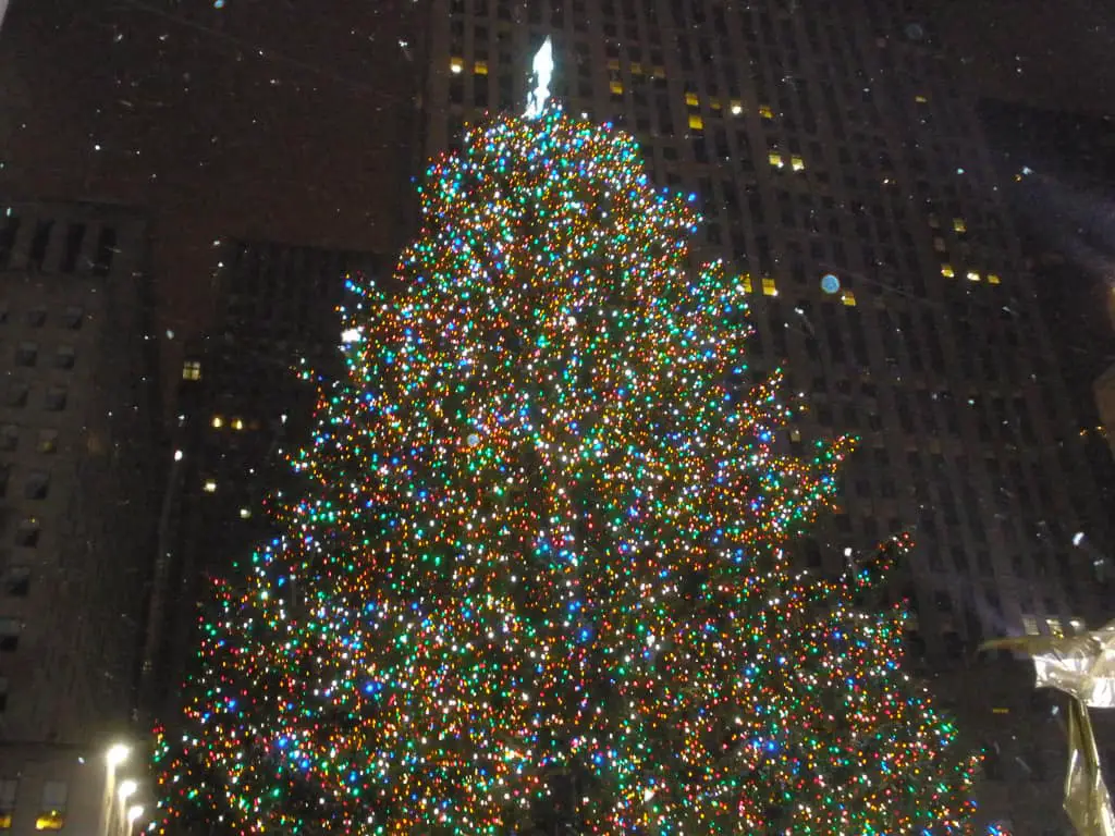 Tree at Rockefeller Center