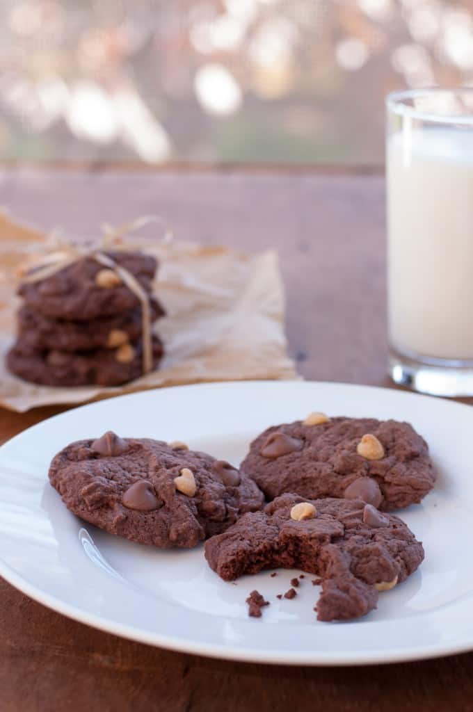 Forget Your Diet Cookies a.k.a. Chocolate Peanut Butter Cookies