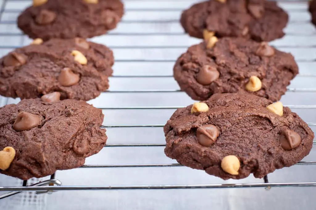 Forget Your Diet Cookies a.k.a. Chocolate Peanut Butter Cookies