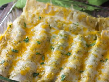 Chicken Enchiladas - a healthy recipe without sacrificing any flavor!