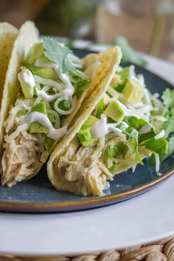 side view of white corn taco shells on a blue plate filled with shredded chicken with avocado, lettuce, cilantro and white sauce