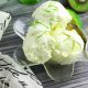 Kiwi Lime Ice Cream - so refreshing! Also a great soft serve ice cream recipe.