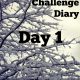 Fed Up Challenge Diary - Day 1 - Here's how I did the first day of the sugar free challenge!