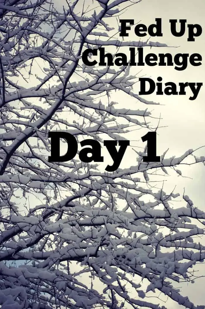 Fed Up Challenge Diary - Day 1 - Here's how I did the first day of the sugar free challenge!